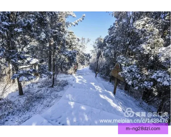 王心迪空技封王对手抱头跪地仰天