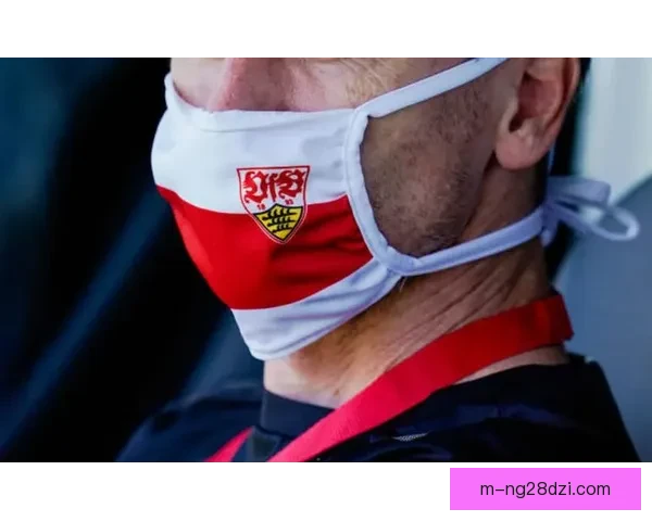 冬窗后德甲德乙日将激增创新高